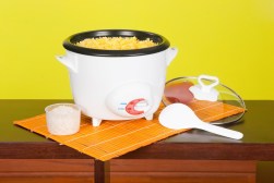 From Size to Functionality: Factors to Consider When Selecting a Rice Cooker